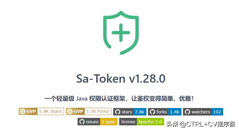 Sa-Token 权限认证接口 _token 权限管理·(中国)官方网站_ Sa-Token 注解鉴权实现 